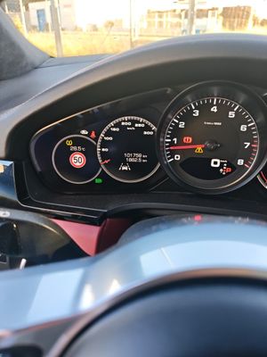 Porsche Cayenne Platinum Edition  - Foto 20