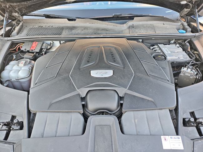 Porsche Cayenne Platinum Edition  - Foto 16