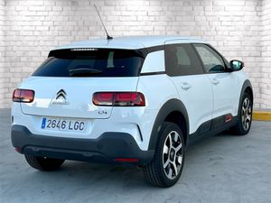 Citroën C4 Cactus 1.5 BLUE HDI S&S SHINE EAT6  120CV AUTOMATICO  - Foto 4