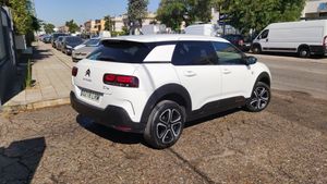Citroën C4 Cactus BlueHDi 100 SS CSeries 100 cv.  - Foto 16