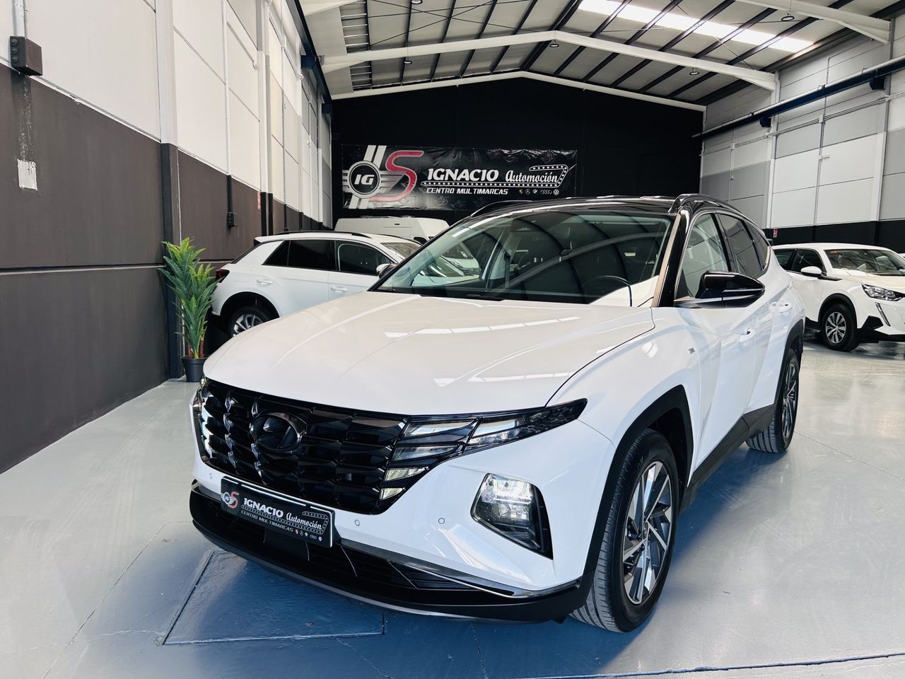 Hyundai Tucson 1.6CRDI Hybrid 48V Tecno DCT  - Foto 1