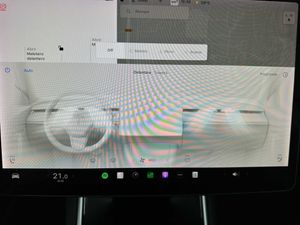 Tesla Model 3 Dual Motor Performance - Foto 14