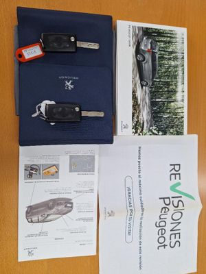 Peugeot 5008 1.6 Active 7 plazas Etiq. amb. verde C  - Foto 21