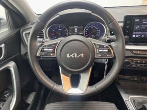 Kia XCeed Nuevo  1.0 T-GDi Drive 120CV (MY24)   - Foto 16