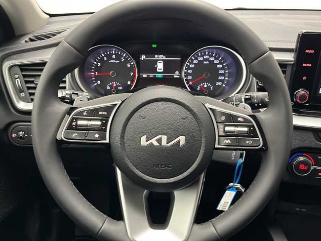 Kia Ceed 1.0 MHEV 120CV Drive DCT   - Foto 15