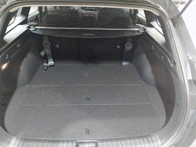 Kia Ceed 1.0 MHEV DRIVE DCT 120 MY24   - Foto 12