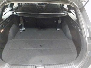 Kia Ceed 1.0 MHEV DRIVE DCT 120 MY24   - Foto 12