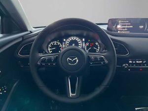 Mazda CX-30 Mazda  HOMURA 140CV MT   - Foto 19