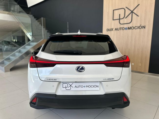 Lexus UX 2.0 250h Executive Navigation 5p.   - Foto 5