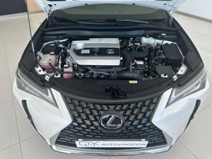 Lexus UX 2.0 250h Executive Navigation 5p.   - Foto 8