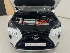 Lexus NX 2.5 300h Premium 2WD 5p 197 CV   - Foto 6