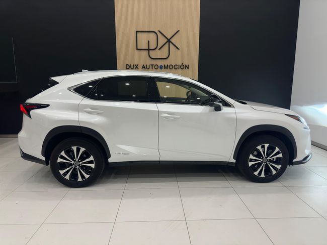 Lexus NX 2.5 300h Premium 2WD 5p 197 CV   - Foto 5