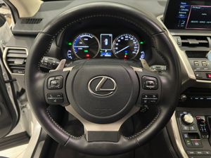 Lexus NX 2.5 300h Premium 2WD 5p 197 CV   - Foto 11