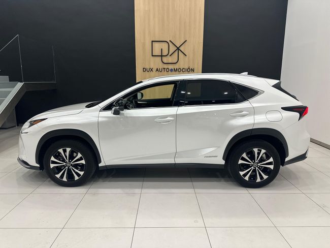 Lexus NX 2.5 300h Premium 2WD 5p 197 CV   - Foto 4