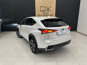 Lexus NX 2.5 300h Premium 2WD 5p 197 CV   - Foto 3