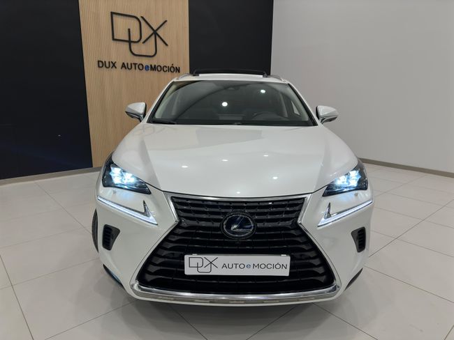 Lexus NX 300 2.5 LUXURY 4x4 197 CV   - Foto 5