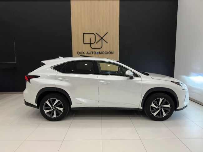 Lexus NX 300 2.5 LUXURY 4x4 197 CV   - Foto 9