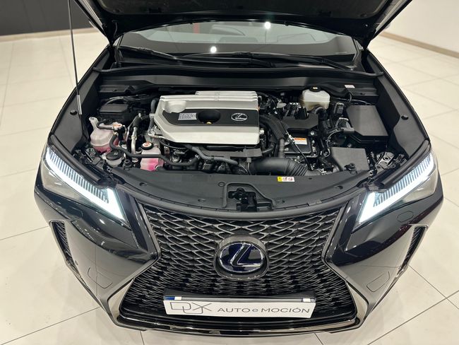 Lexus UX 250 H F SPORT  4WD 184 CV   - Foto 12