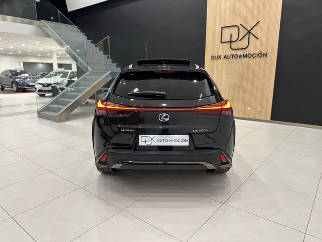 Lexus UX 250 H F SPORT  4WD 184 CV   - Foto 10