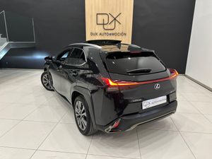 Lexus UX 250 H F SPORT  4WD 184 CV   - Foto 3