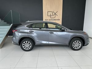 Lexus NX LEXUS NX HYBRID BUSINESS navigation   - Foto 6