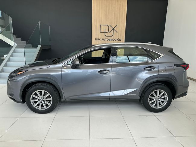 Lexus NX LEXUS NX HYBRID BUSINESS navigation   - Foto 5