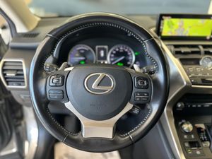 Lexus NX LEXUS NX 2.5 300h Executive Navigation 4WD   - Foto 14