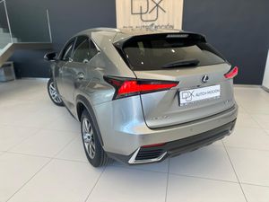 Lexus NX LEXUS NX 2.5 300h Executive Navigation 4WD   - Foto 3