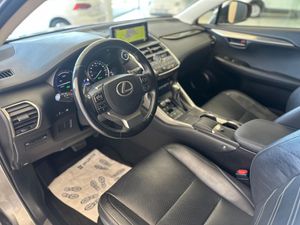 Lexus NX LEXUS NX 2.5 300h Executive Navigation 4WD   - Foto 17