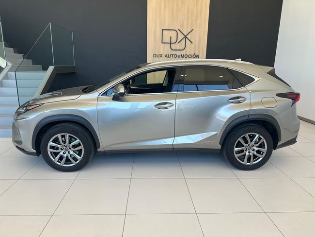 Lexus NX LEXUS NX 2.5 300h Executive Navigation 4WD   - Foto 5