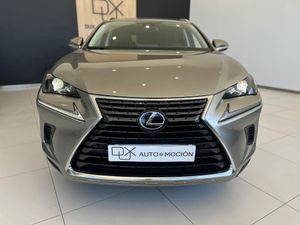 Lexus NX LEXUS NX 2.5 300h Executive Navigation 4WD   - Foto 7