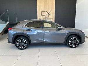Lexus UX LEXUS UX 2.0 250h Premium 4WD   - Foto 6