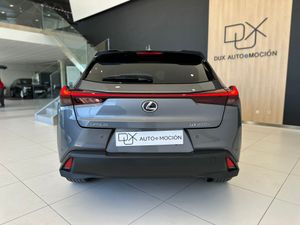 Lexus UX LEXUS UX 2.0 250h Premium 4WD   - Foto 8