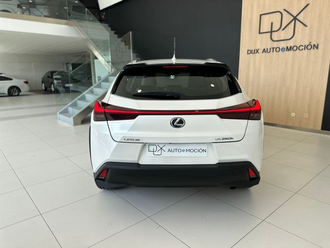 Lexus UX LEXUS UX 2.0 250h F Sport 4WD   - Foto 7