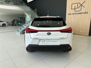 Lexus UX LEXUS UX 2.0 250h F Sport 4WD   - Foto 7