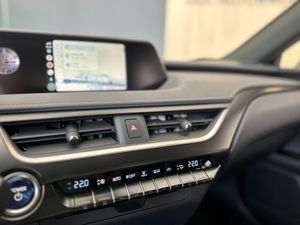 Lexus UX LEXUS UX 2.0 250h F Sport 4WD   - Foto 14