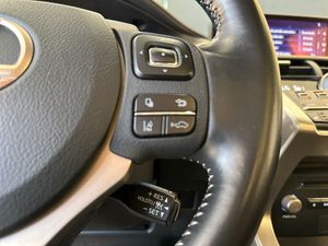Lexus NX 2.5 300h F Sport 4WD Panoramico   - Foto 12