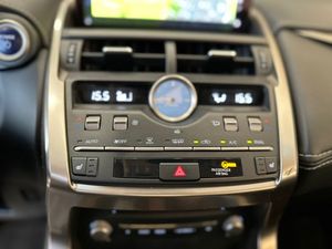Lexus NX 2.5 300h F Sport 4WD Panoramico   - Foto 15
