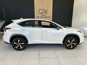 Lexus NX 2.5 300h F Sport 4WD Panoramico   - Foto 30