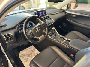 Lexus NX 2.5 300h F Sport 4WD Panoramico   - Foto 6