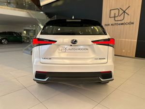 Lexus NX 2.5 300h F Sport 4WD Panoramico   - Foto 29