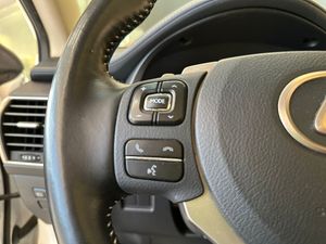 Lexus NX 2.5 300h F Sport 4WD Panoramico   - Foto 18