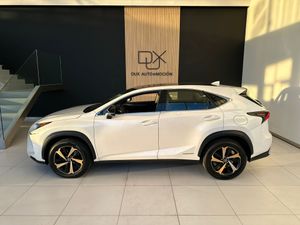 Lexus NX 2.5 300h F Sport 4WD Panoramico   - Foto 27