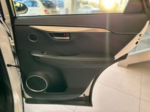 Lexus NX 2.5 300h F Sport 4WD Panoramico   - Foto 24
