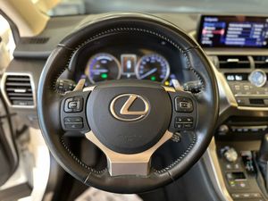 Lexus NX 2.5 300h F Sport 4WD Panoramico   - Foto 10