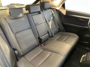 Lexus NX 2.5 300h F Sport 4WD Panoramico   - Foto 26