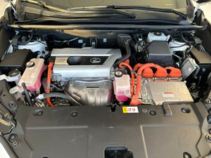 Lexus NX 2.5 300h F Sport 4WD Panoramico   - Foto 22
