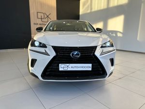 Lexus NX 2.5 300h F Sport 4WD Panoramico   - Foto 20