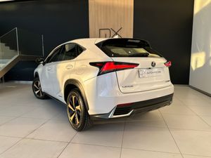 Lexus NX 2.5 300h F Sport 4WD Panoramico   - Foto 3