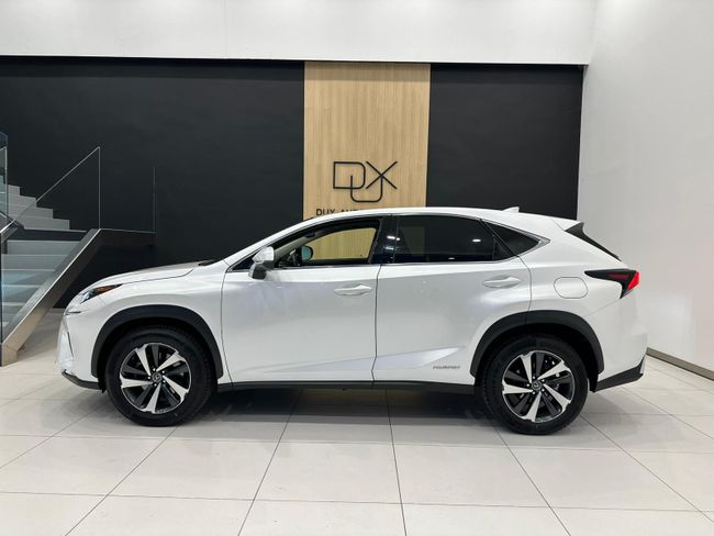 Lexus NX  SUV HYBRID LUXURY 4WD  - Foto 4